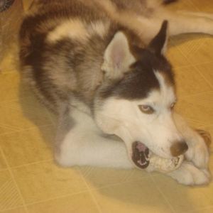 Meet your Posher, James